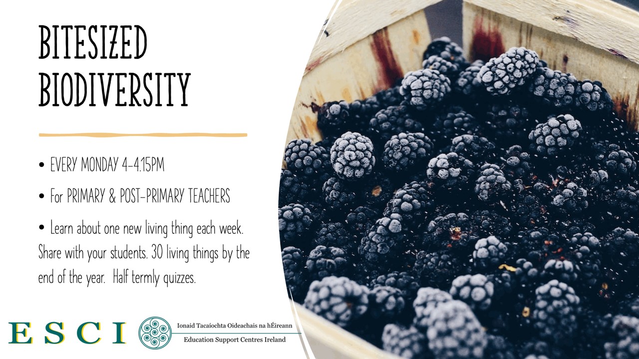 Bitesized Biodiversity ESCI jpeg