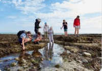 Summer Course 26LC 07 012 - Exploring the Seashore in Brittas Bay NS