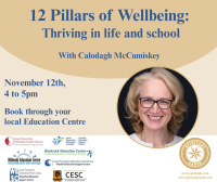 25LC 11 007 SG (WX) - 12 Pillars of Wellbeing: Thriving in Life and School