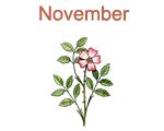 November