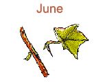 June