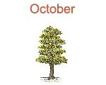 October