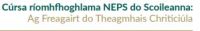 NEPS e-learning courses for schools as Gaeilge
